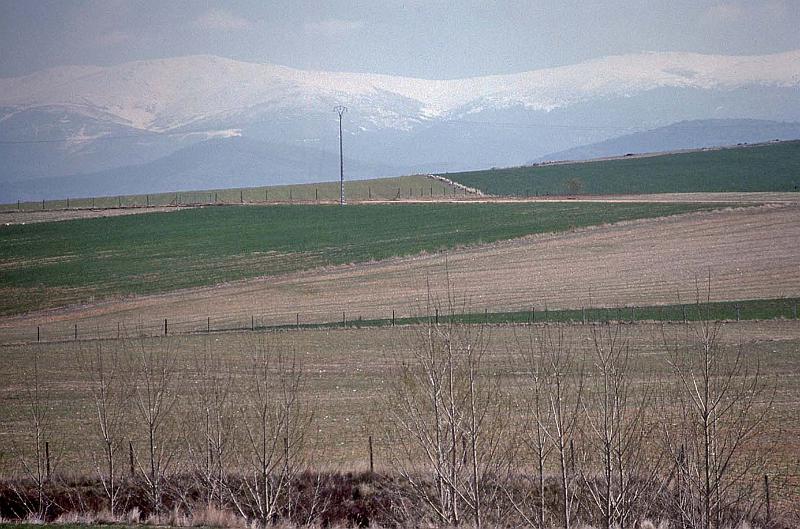 WT 2300 310-24 Spain.jpg